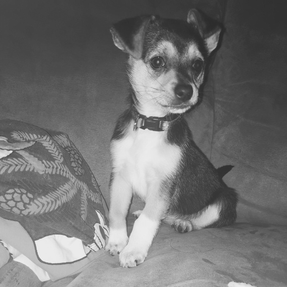 babyesquivel